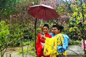 Nipponvina - Kết nối và hội nhập